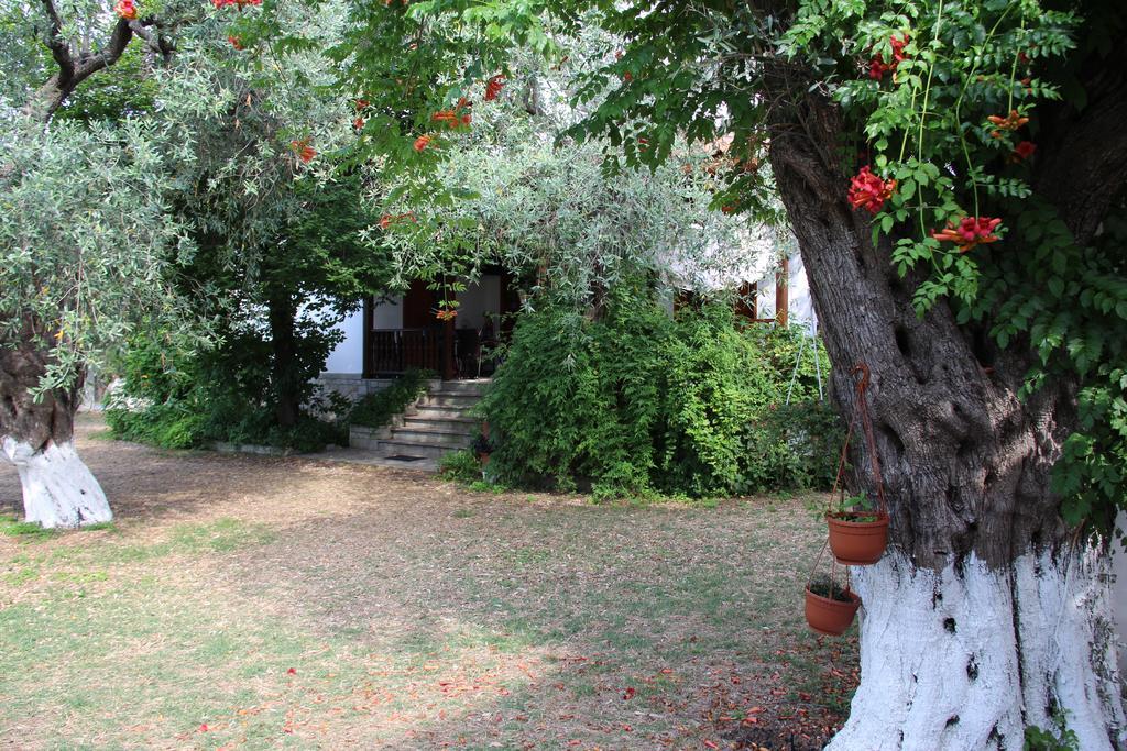 Patroudis House Leilighet Skala Rachoni  Rom bilde